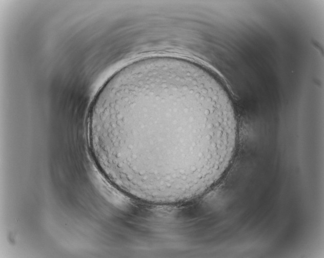 X0000099571514200806131245