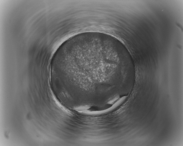 X0000099571515200806131245