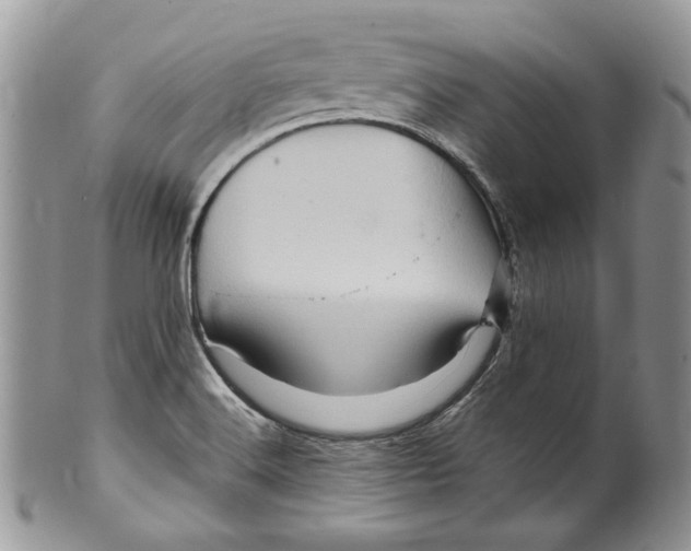 X0000099571516200806131245