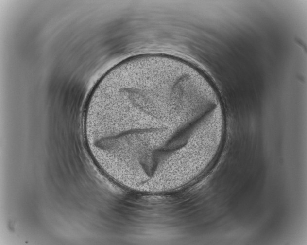 X0000099571517200806131245