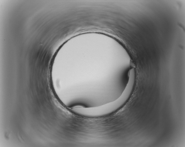 X0000099571518200806131245