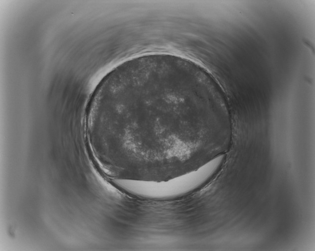 X0000099571519200806131245