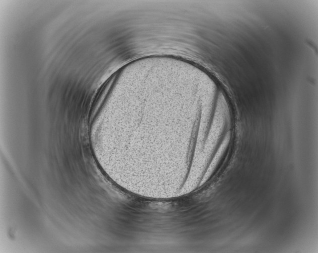 X0000099571521200806131245