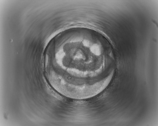 X0000099571522200806131245