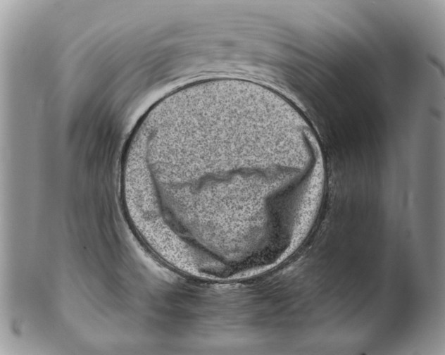 X0000099571523200806131245