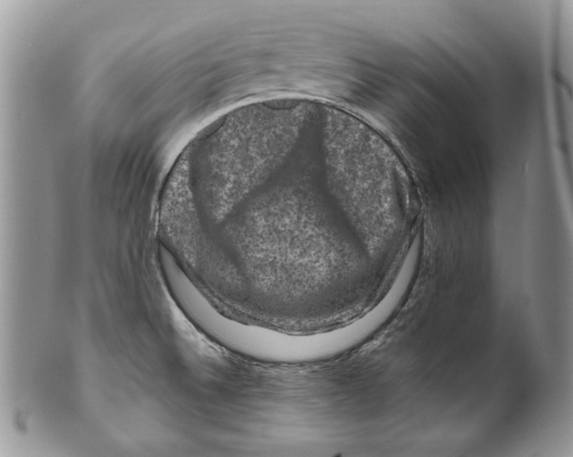 X0000099571524200806131245