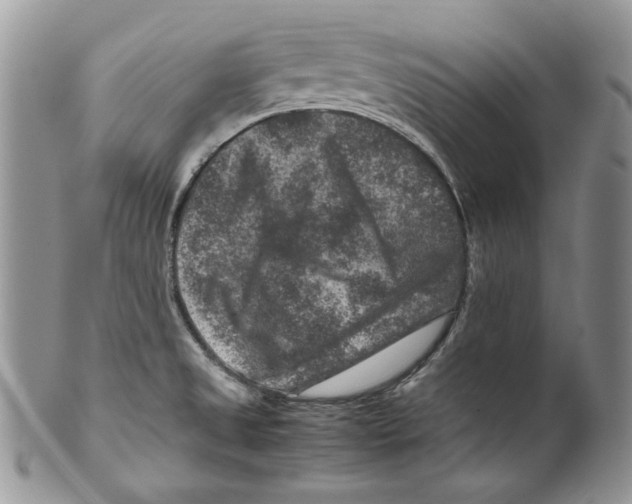 X0000099571525200806131245