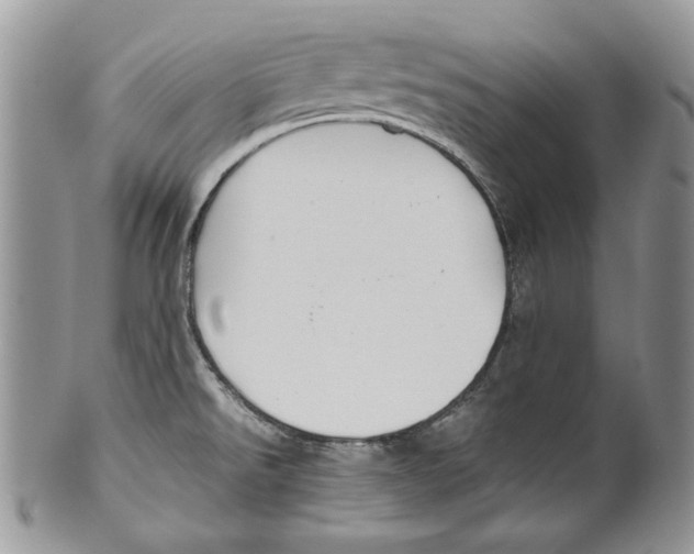 X0000099571526200806131245