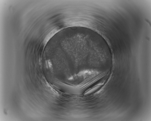 X0000099571529200806131245