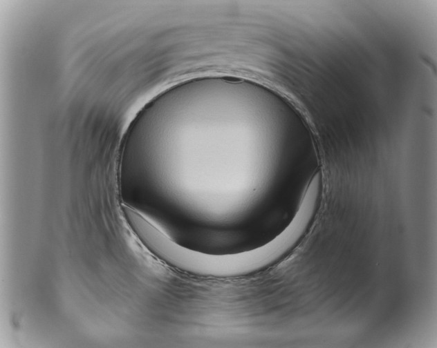 X0000099571530200806131245