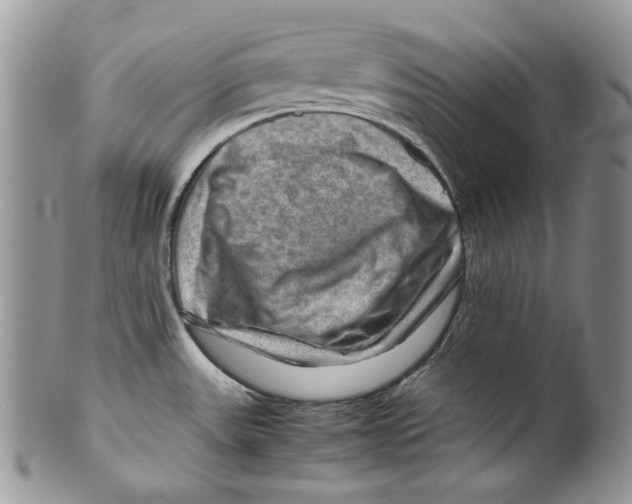 X0000099571531200806131245