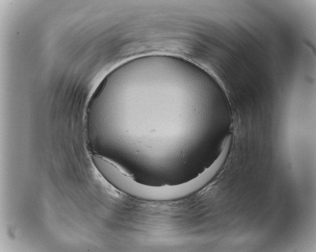 X0000099571532200806131245
