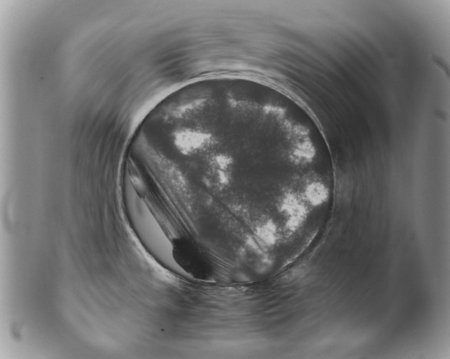 X0000099571533200806131245