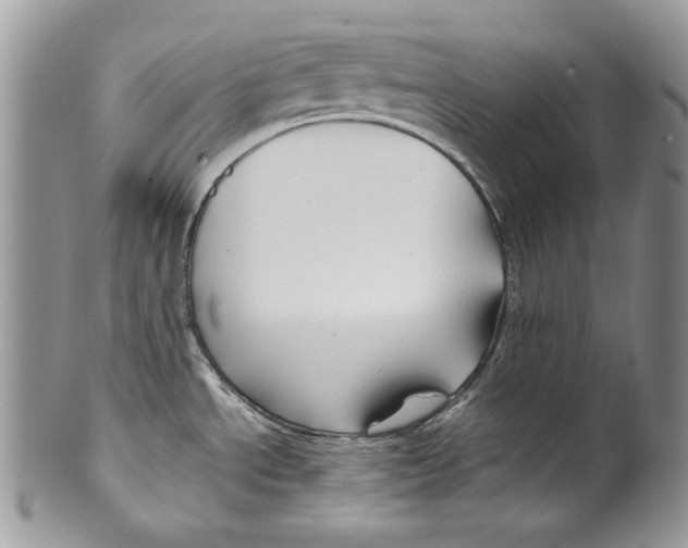 X0000099571534200806131245