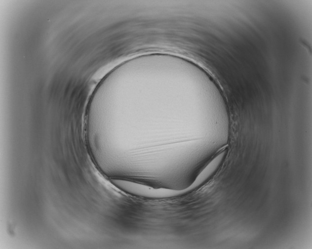 X0000099571535200806131245