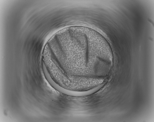 X0000099571536200806131245