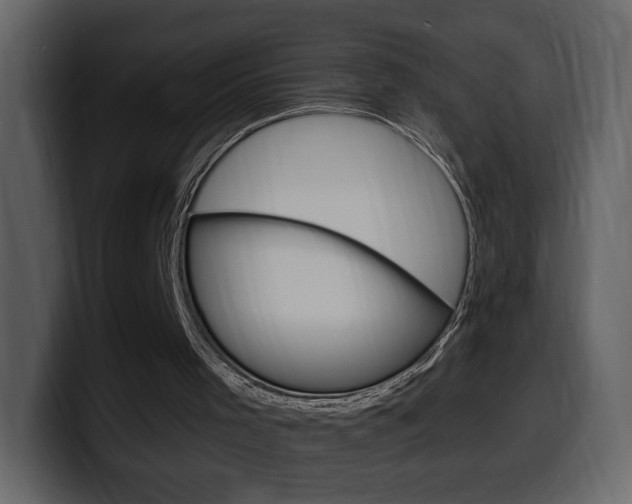 X0000099580001200805160755