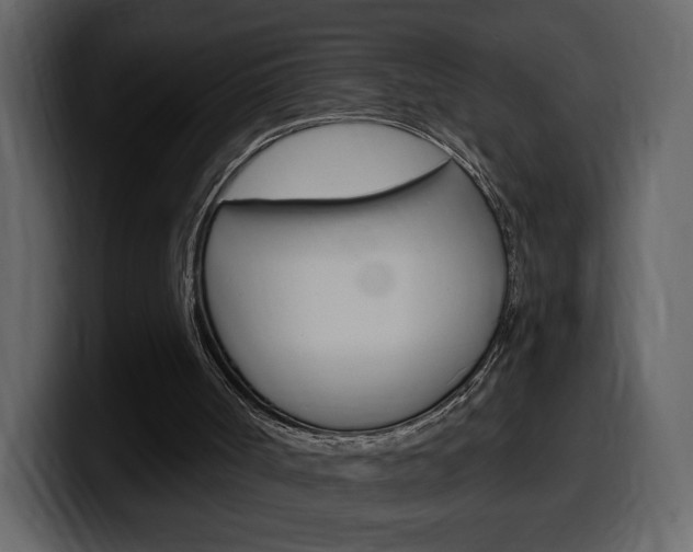 X0000099580002200805160755