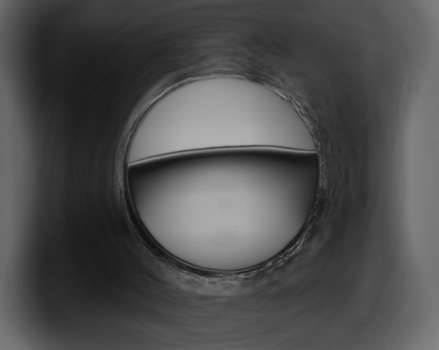 X0000099580004200805160755