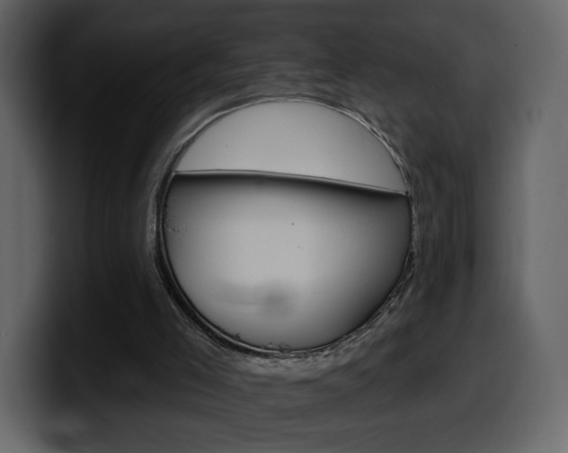 X0000099580005200805160755