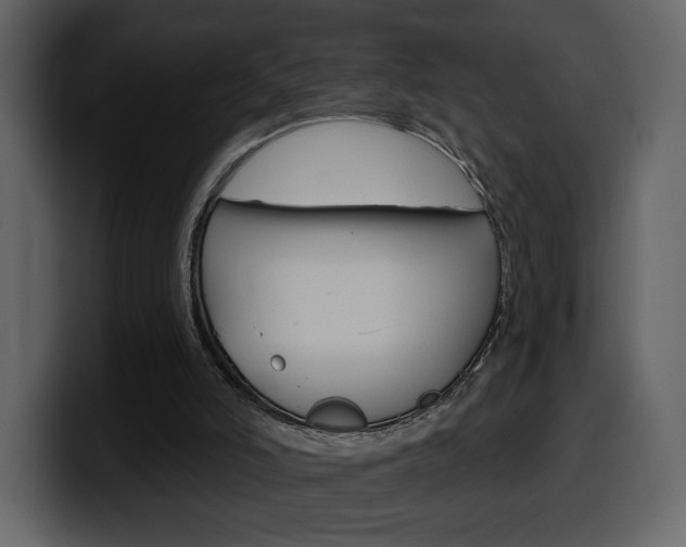 X0000099580006200805160755