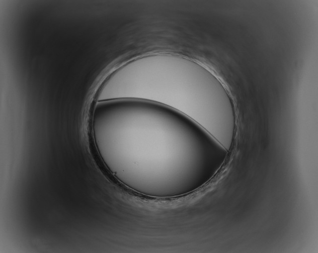 X0000099580007200805160755