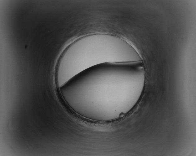 X0000099580008200805160755