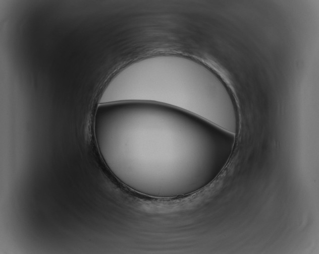 X0000099580009200805160755