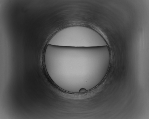 X0000099580010200805160755