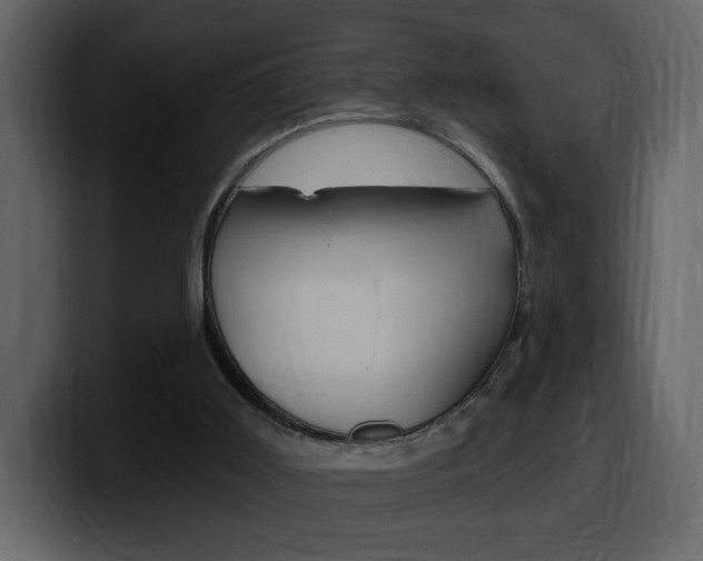 X0000099580011200805160755