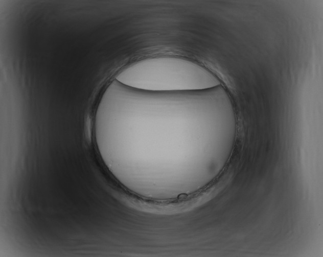 X0000099580014200805160755
