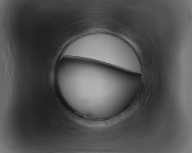X0000099580015200805160755