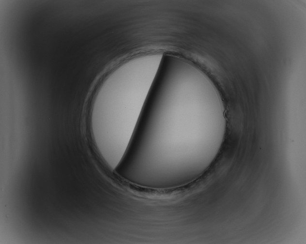 X0000099580016200805160755