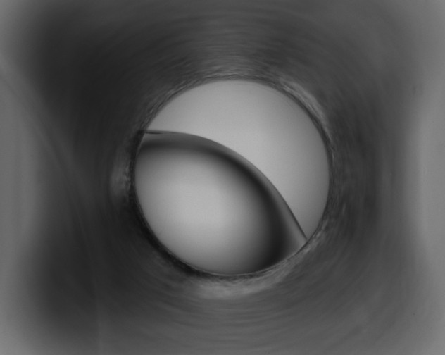 X0000099580017200805160755