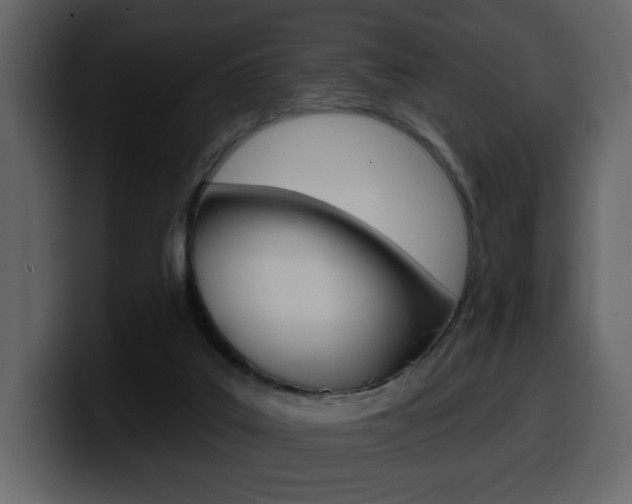 X0000099580019200805160755