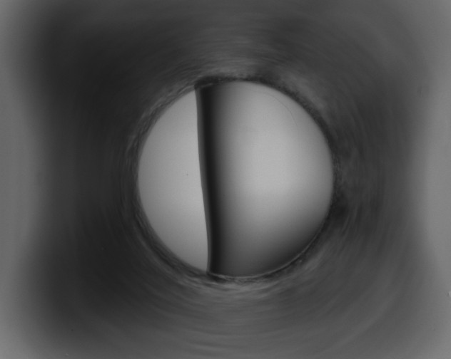 X0000099580020200805160755