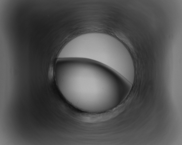 X0000099580021200805160755