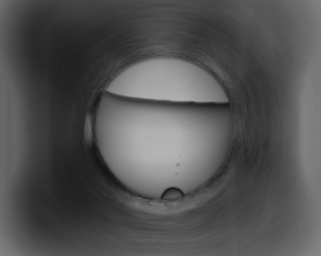 X0000099580022200805160755