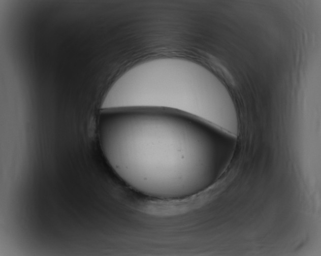 X0000099580025200805160755