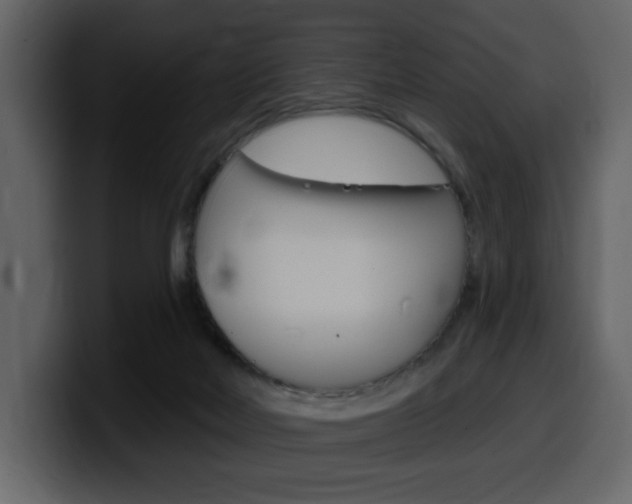 X0000099580026200805160755