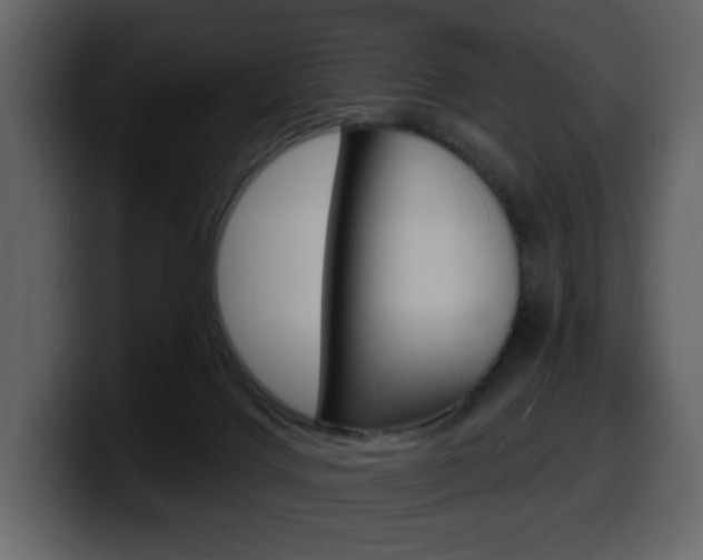 X0000099580028200805160755