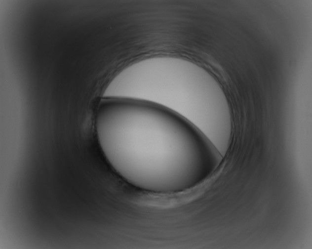 X0000099580029200805160755