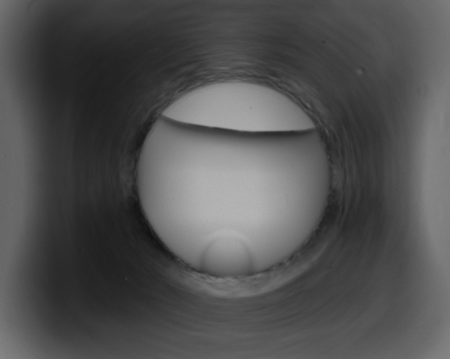 X0000099580030200805160755