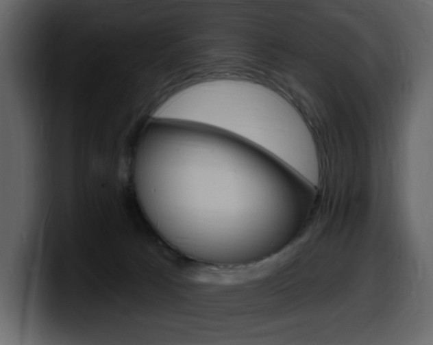 X0000099580033200805160755