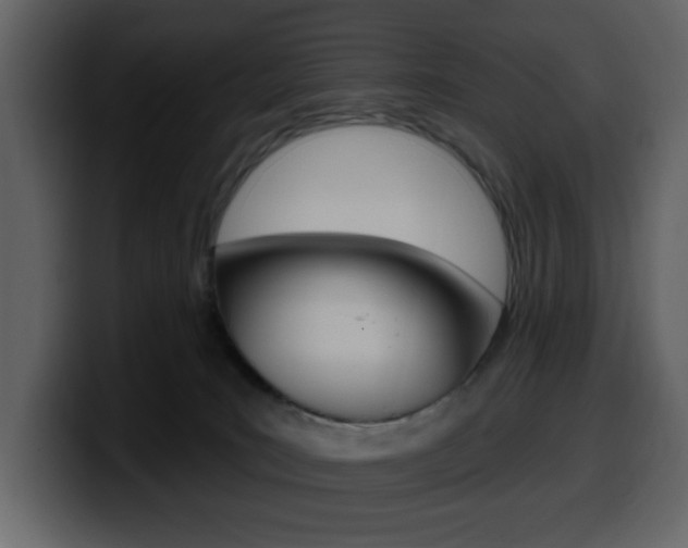 X0000099580035200805160755