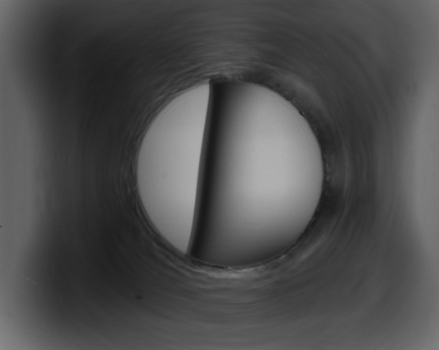 X0000099580036200805160755