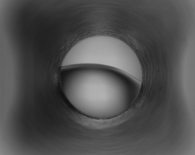 X0000099580039200805160755