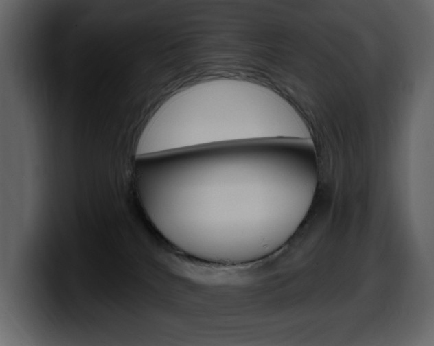 X0000099580040200805160755