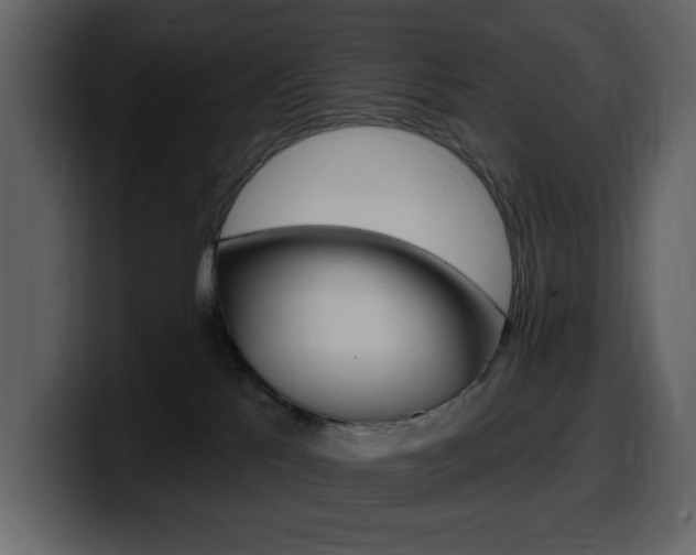 X0000099580041200805160755