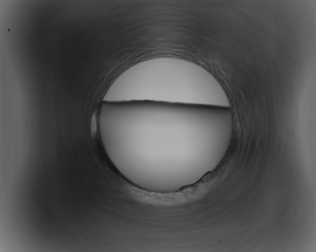 X0000099580042200805160755